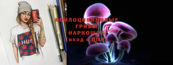 дживик Арсеньев